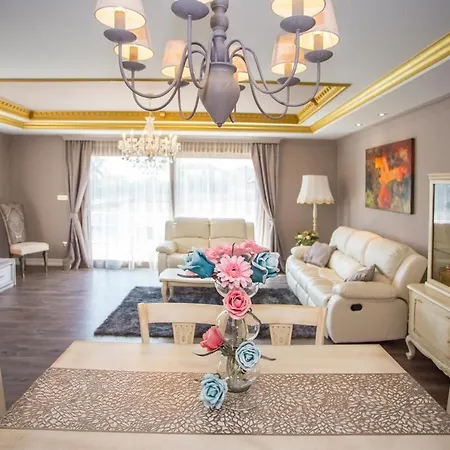 Mihaela Deluxe Zbandaj